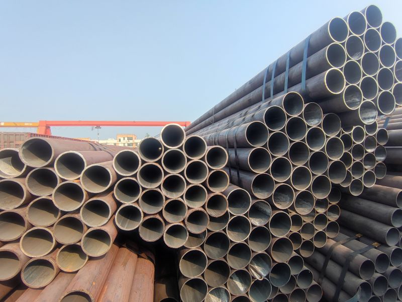 IMG_20230401_153255.jpg IMG_20230401_153255.jpg